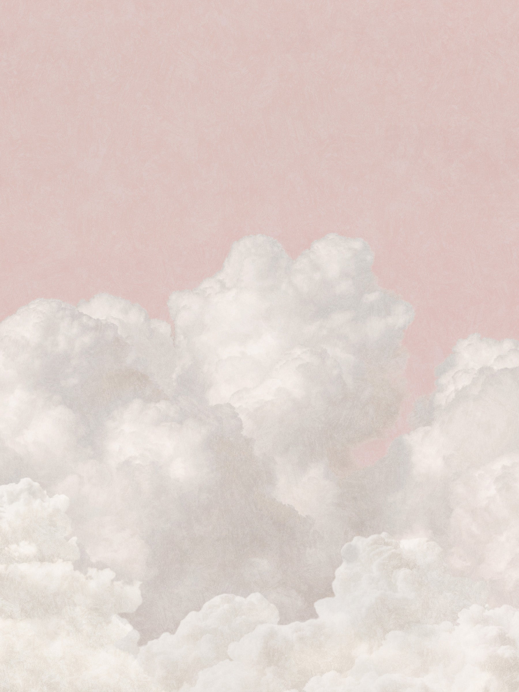 Daybreak Clouds - Rose Sky