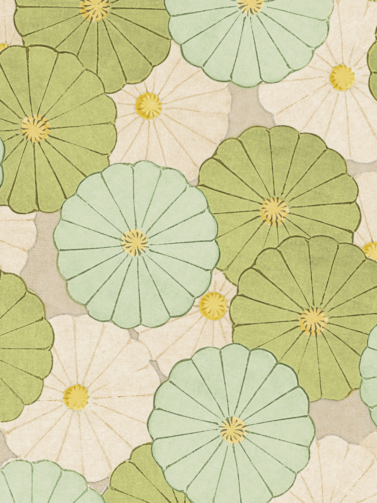 Kasa Petite - Lime