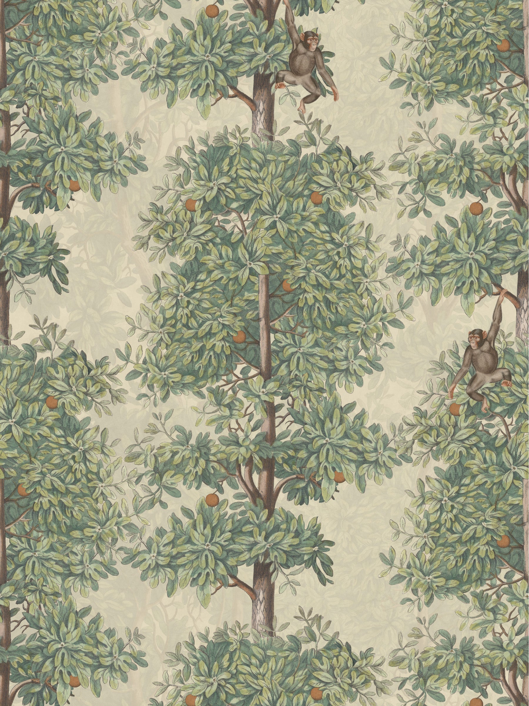 Mandarin Grove - Monkeys