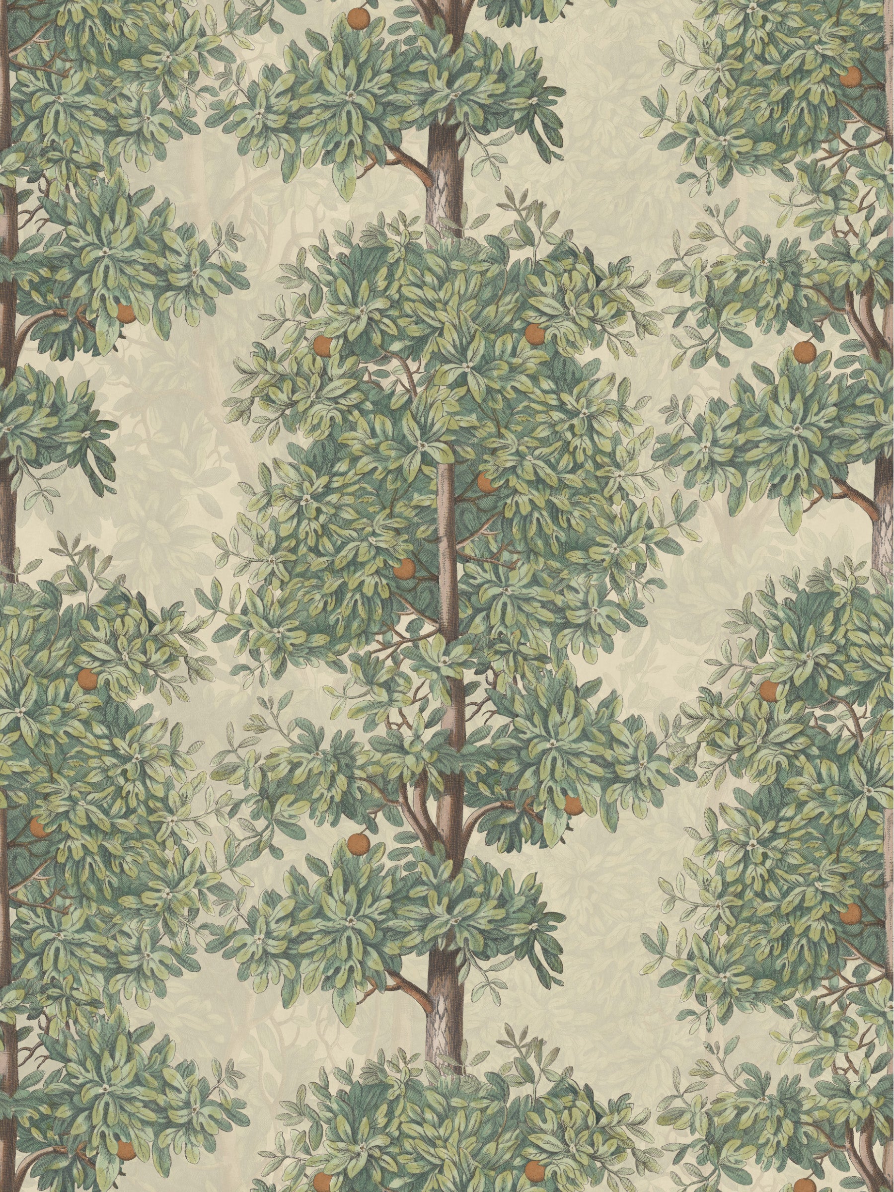 Mandarin Grove - Oranges