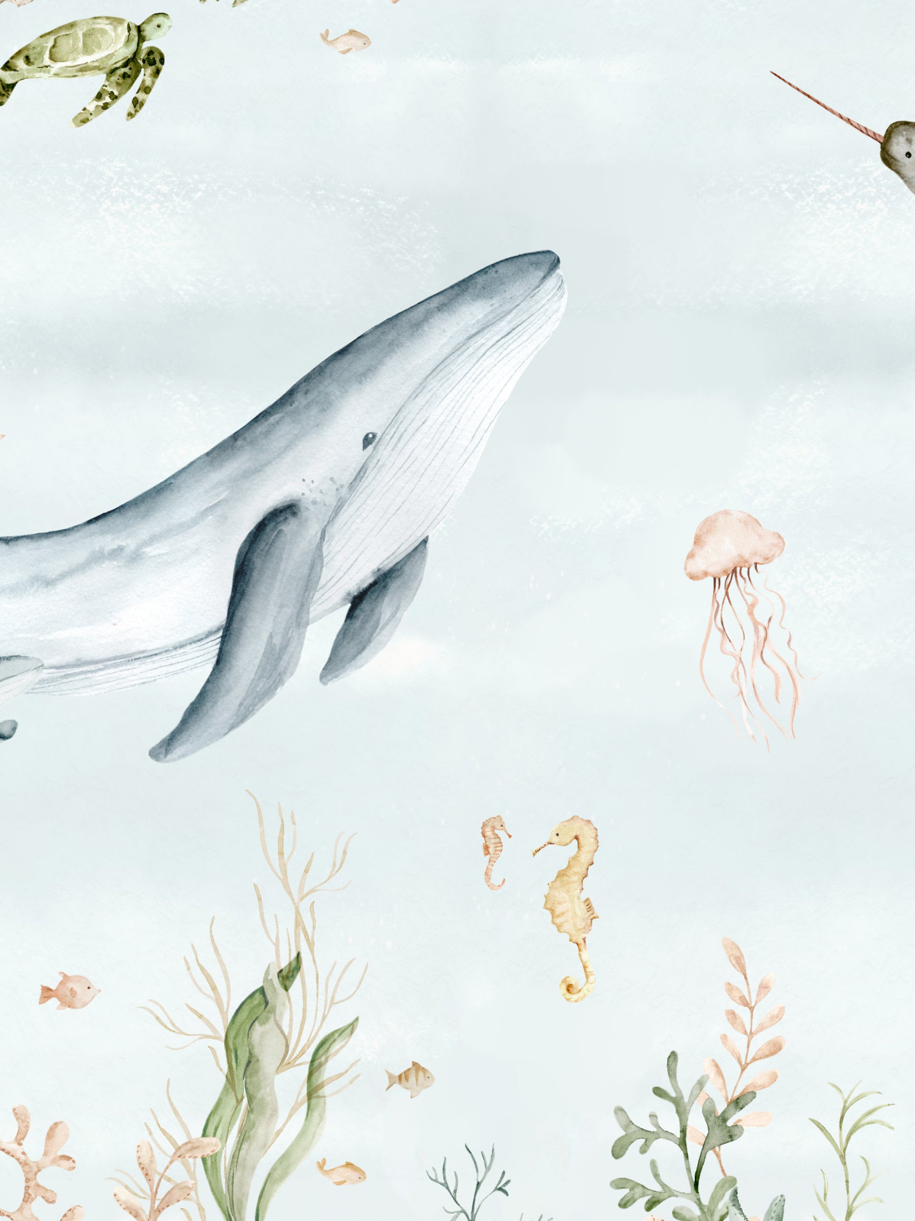 Marine Life