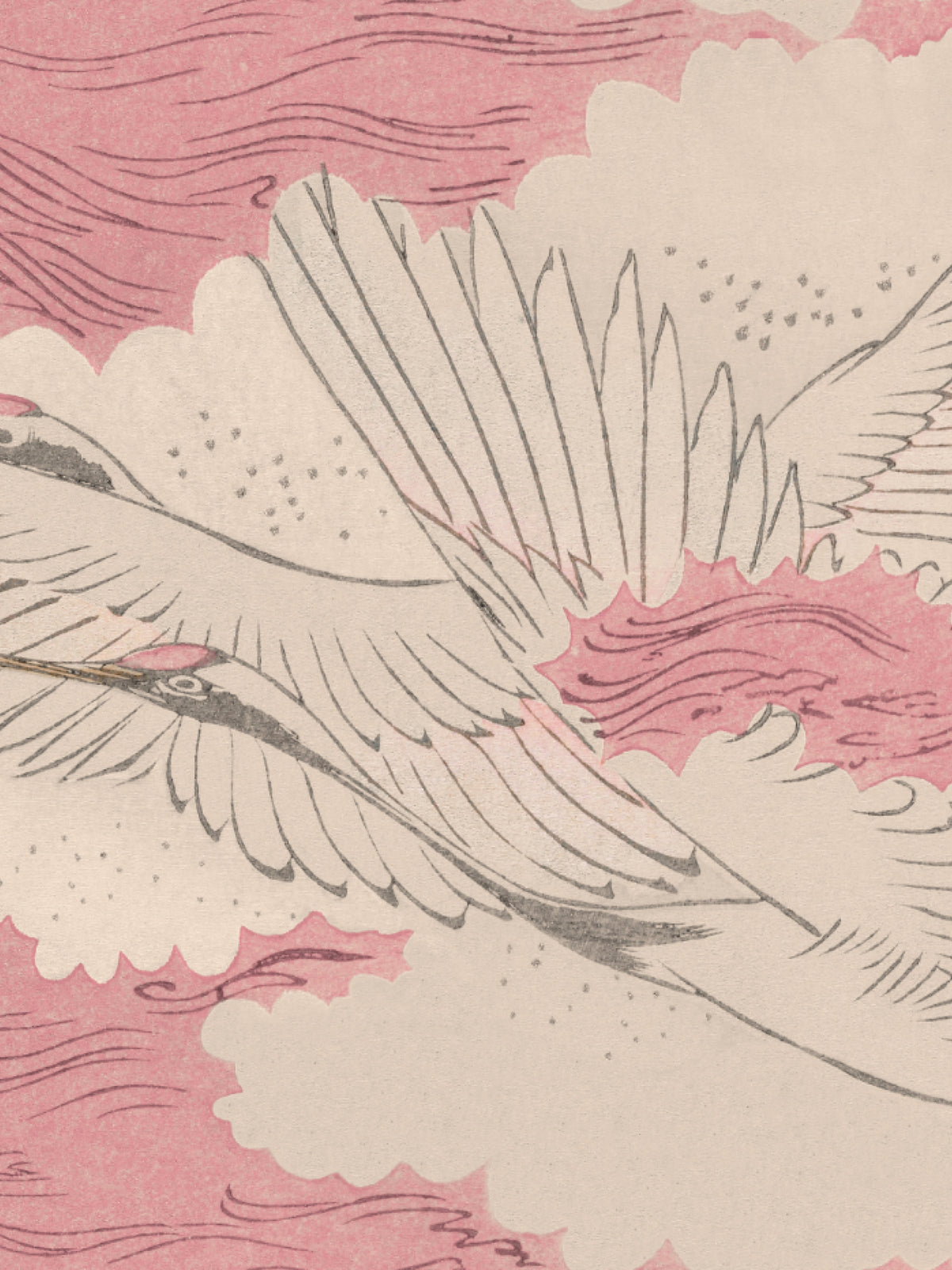 Migration - Coastal Rose