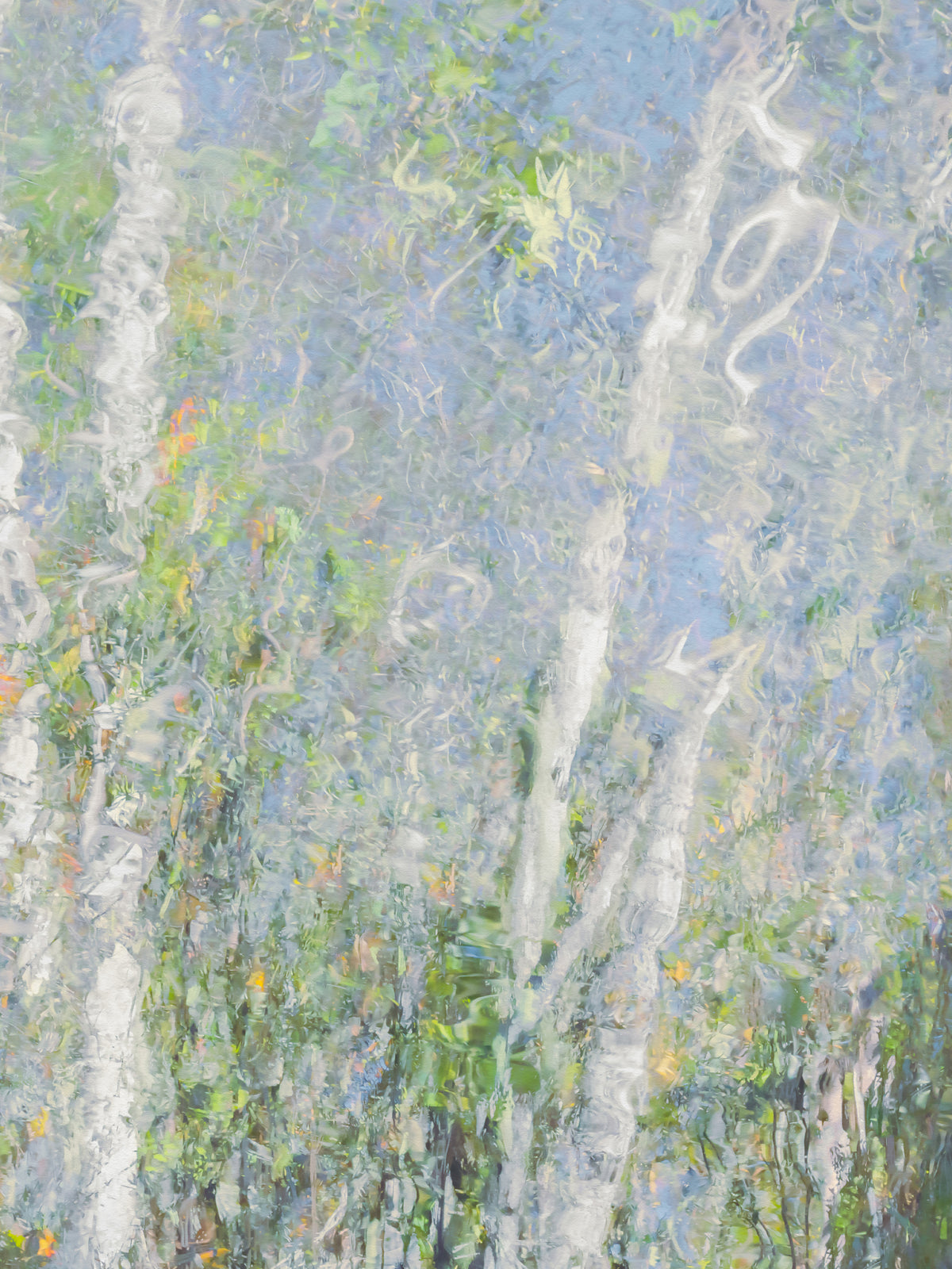 Monet's Summer