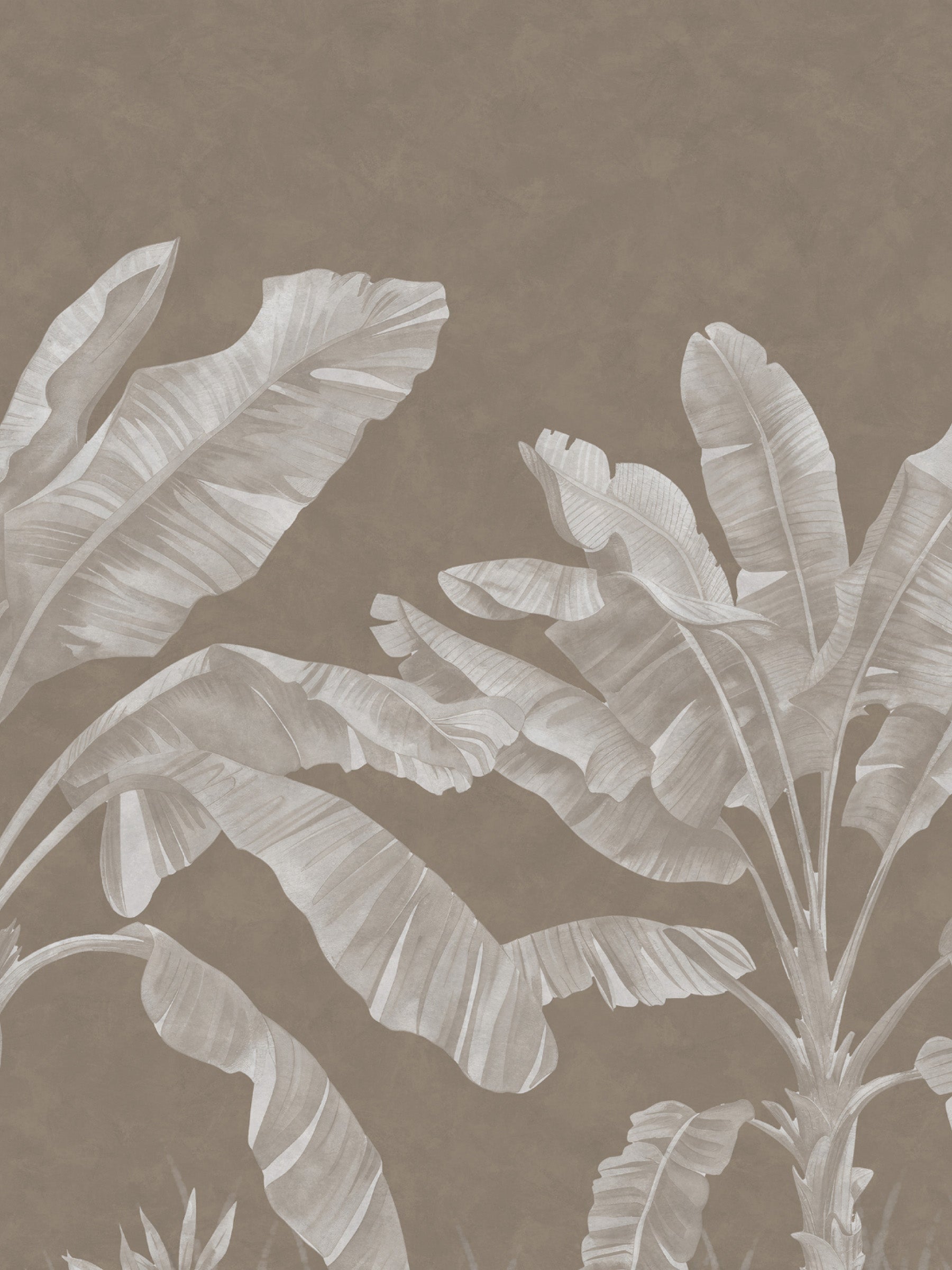 Musa Mural - Umber