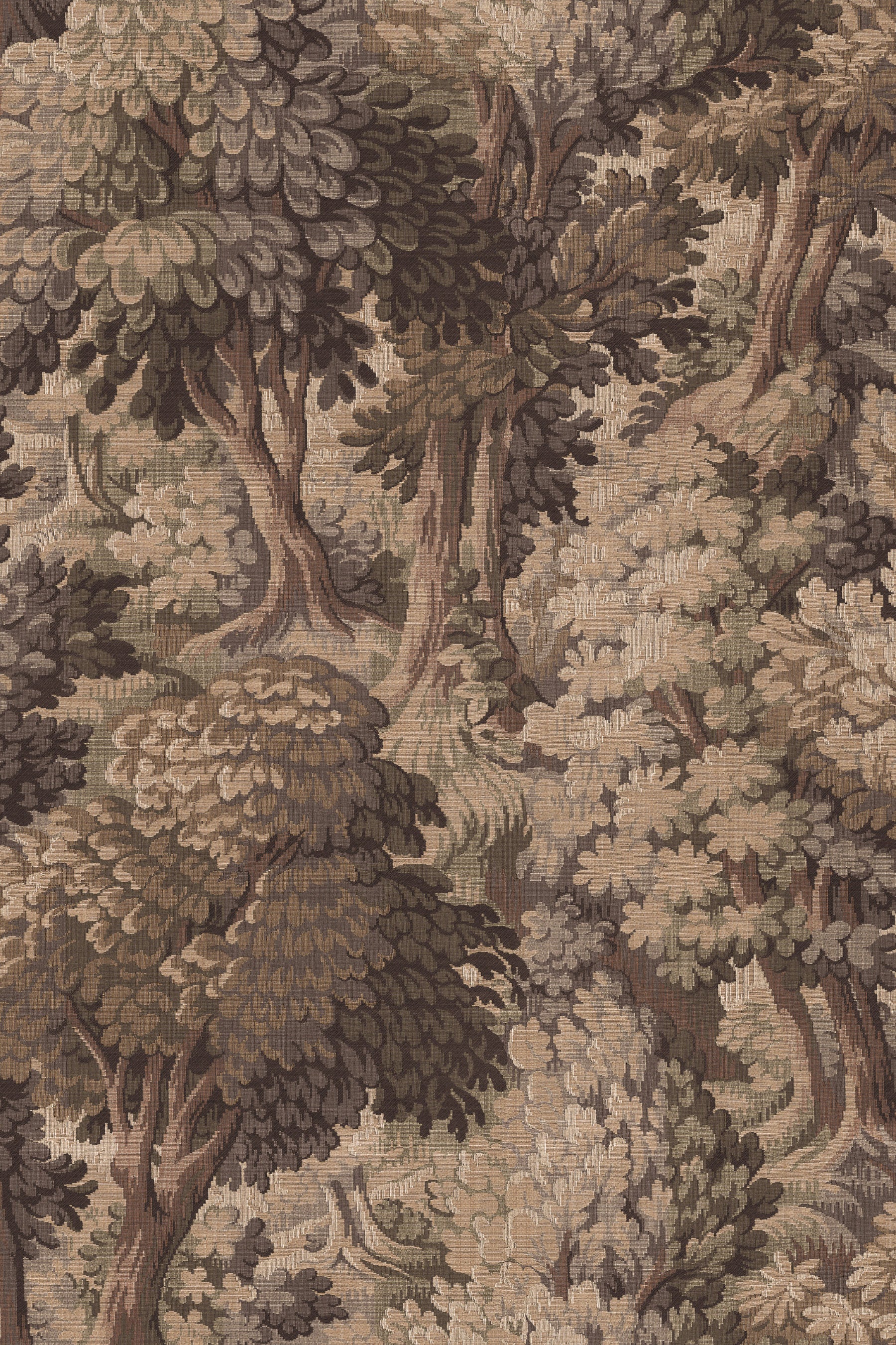 Orléans Forest - Terra