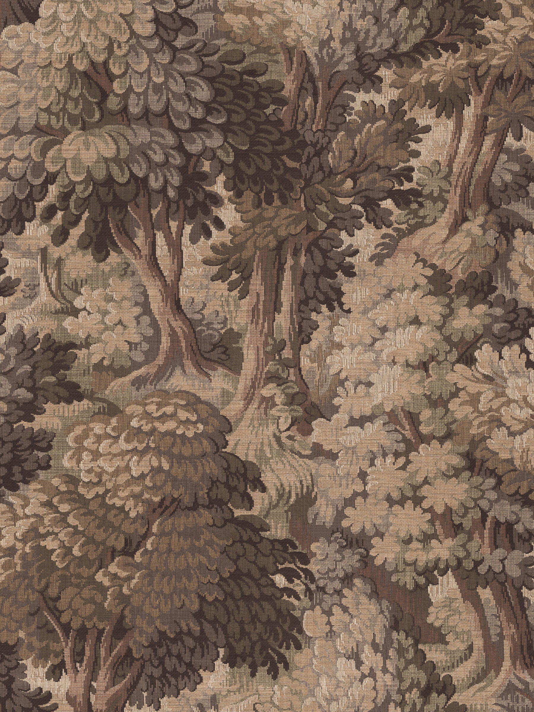 Orléans Forest - Terra