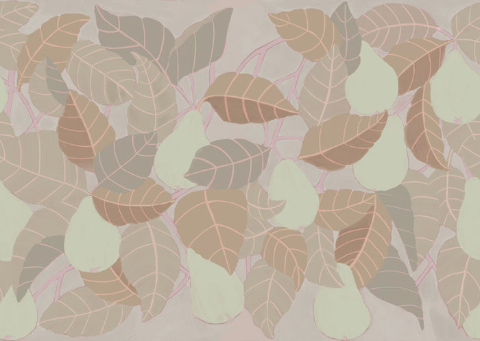 Anjou - Morning Grove