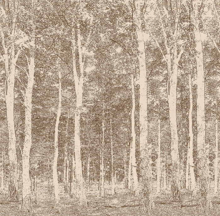 Aspen Woods - Summer Bark