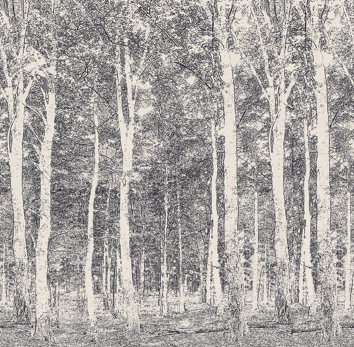 Aspen Woods - Wrought Iron