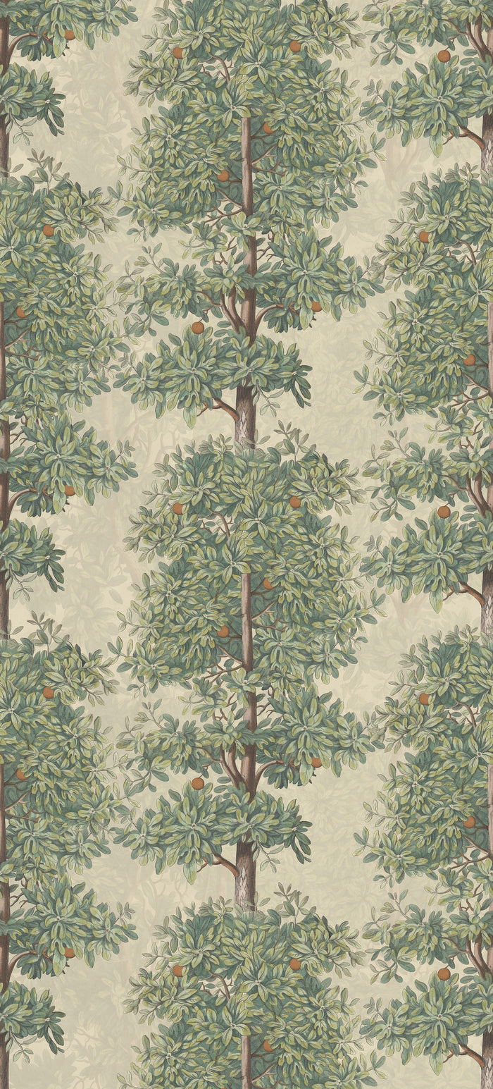 Blossom Season - Mandarin Grove
