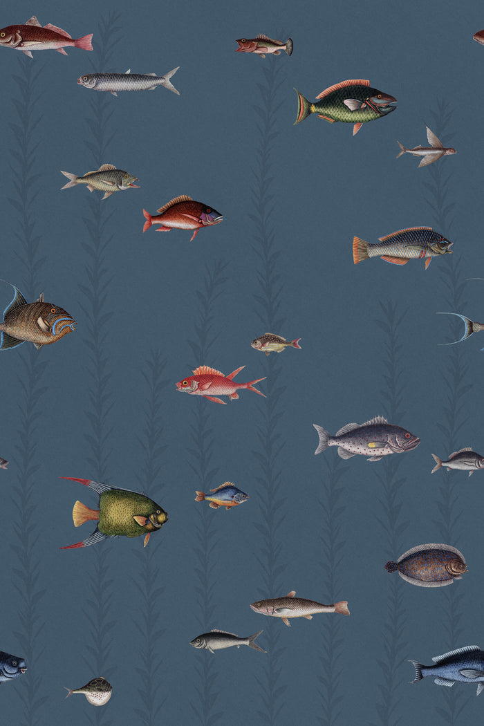 Catch of the Day Marina - Sea Kelp