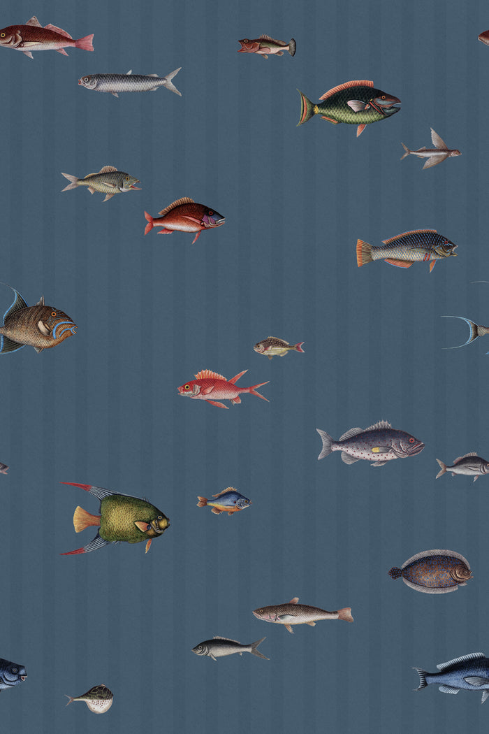 Catch of the Day Marina - Stripes