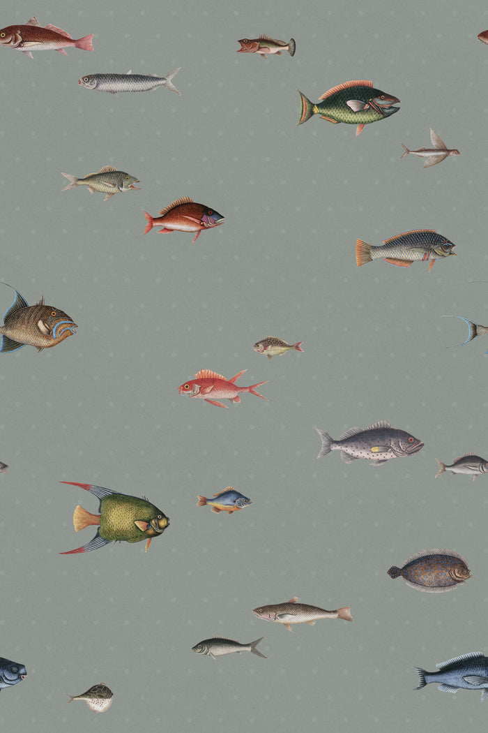 Catch of the Day Lagoon - Polka Dots