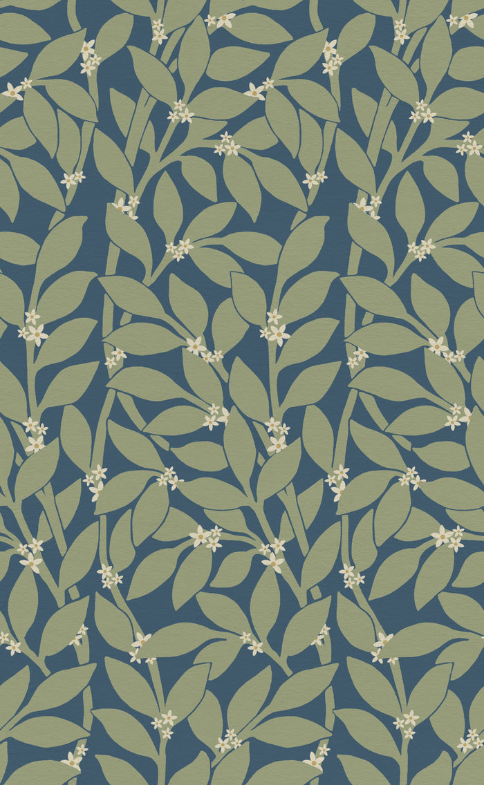 Citrus Grove Navy Sage - White flowers