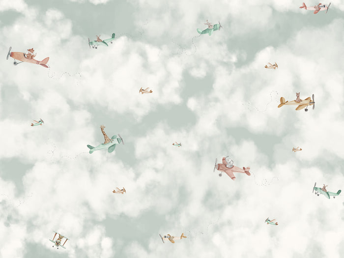 Cloud Play Haze - Airplanes
