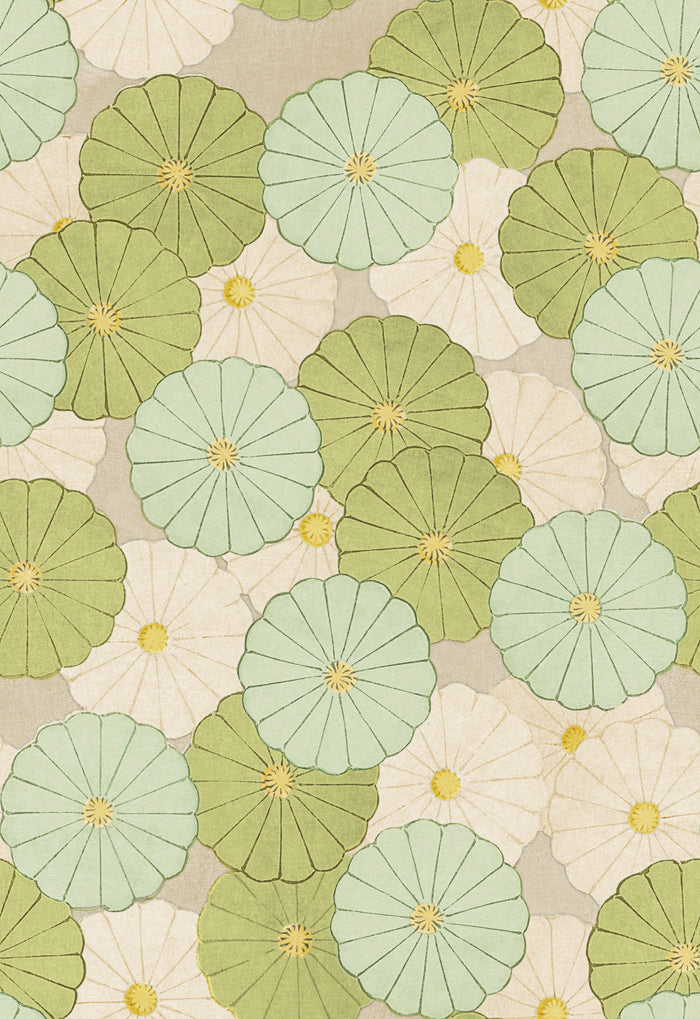 Kasa Petite - Lime