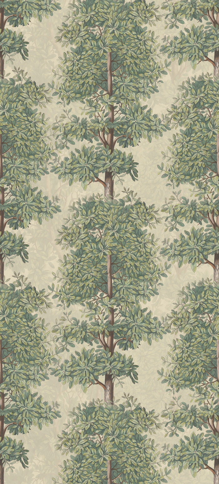 Mandarin Grove - Blossom
