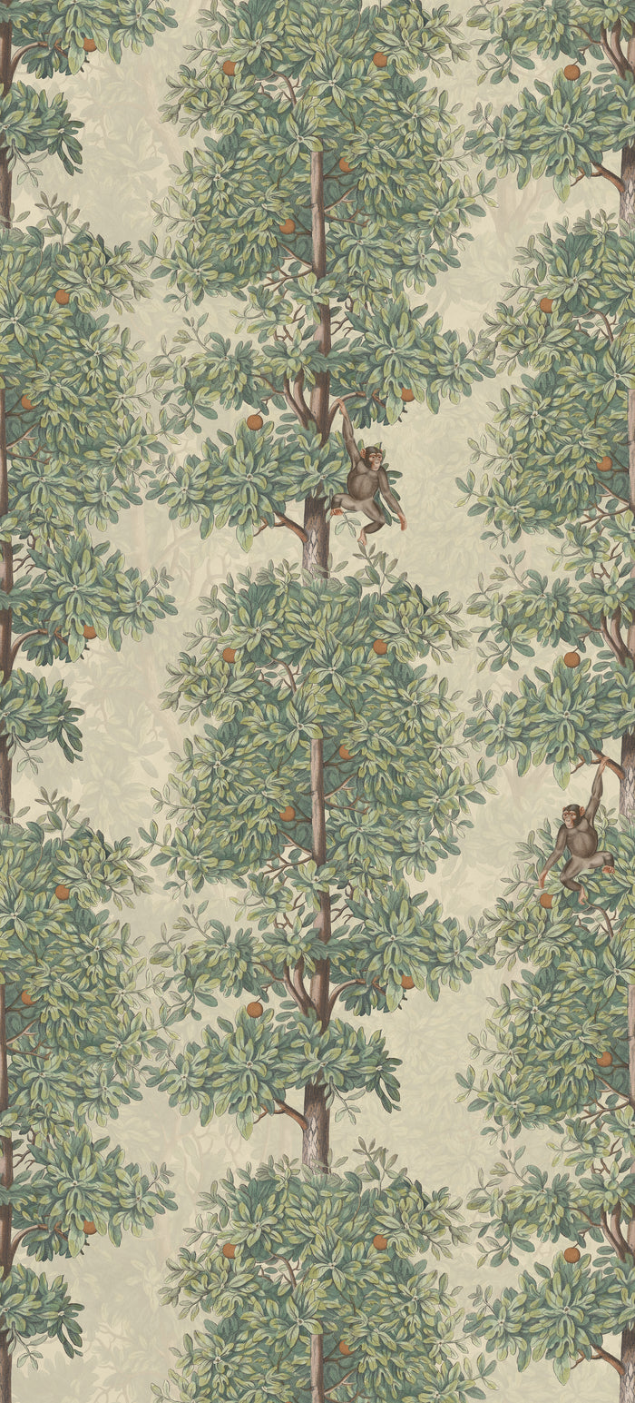 Mandarin Grove - Monkeys