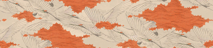 Migration - Ginger