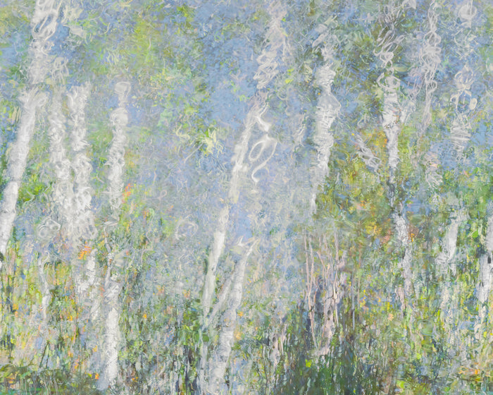 Monet's Summer