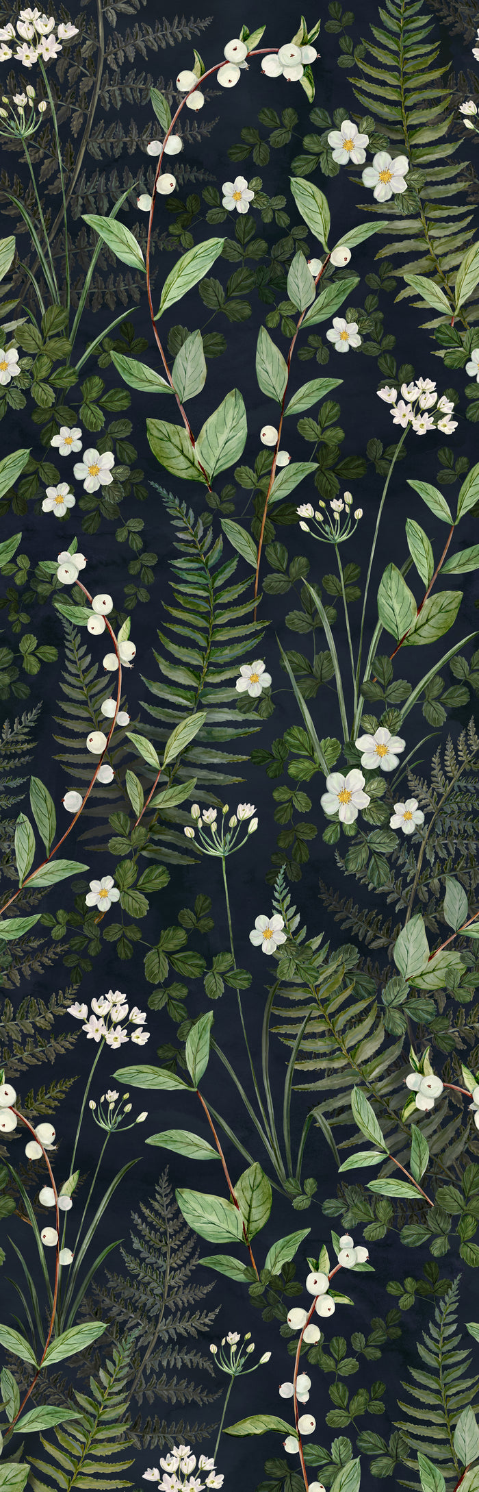 Northwest Fern