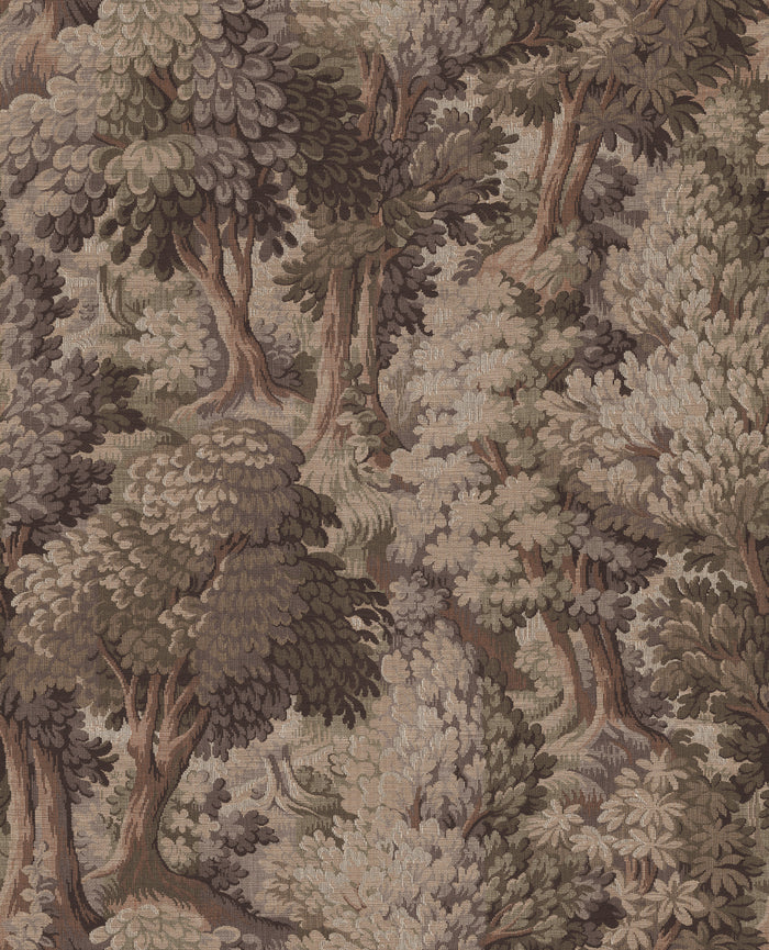 Orléans Forest - Terra