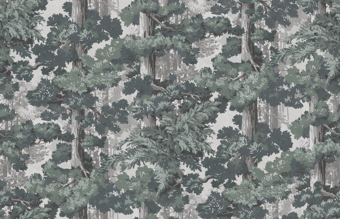 Sequoia Mural - Forest