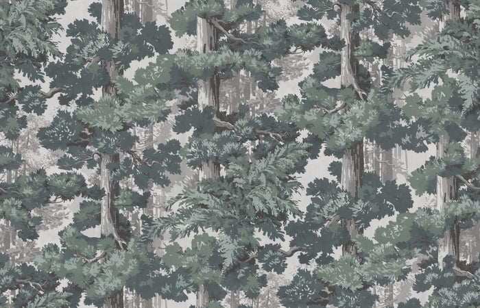 Sequoia Mural - Forest