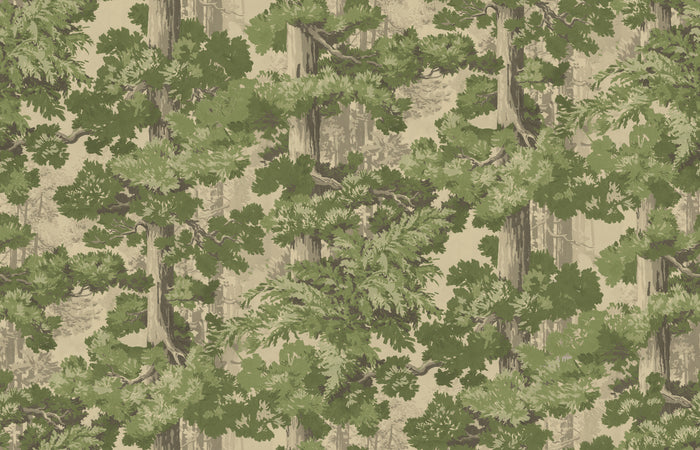 Sequoia Mural - Virere