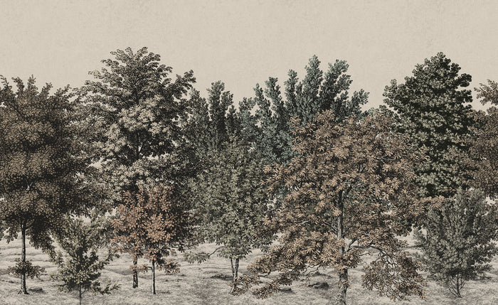 Spring Canopy - Ember