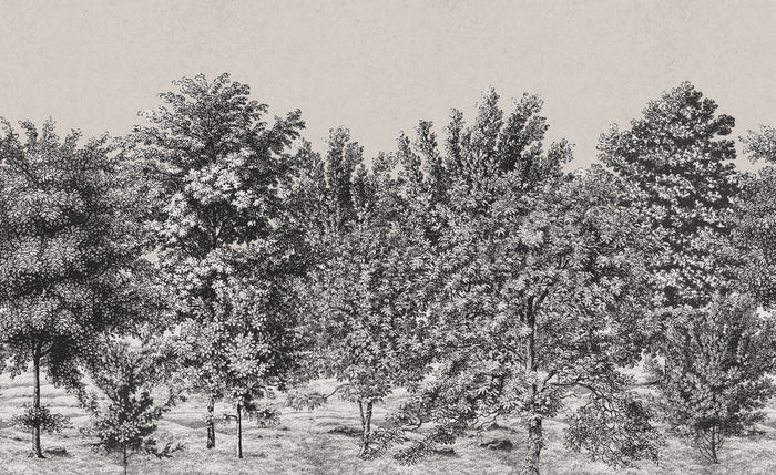 Spring Canopy - Ink