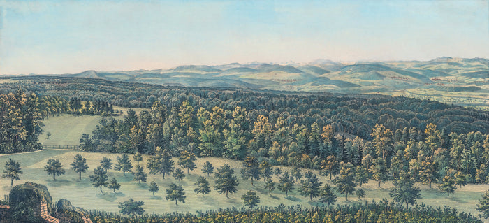 Swiss Landscape - Estival Green