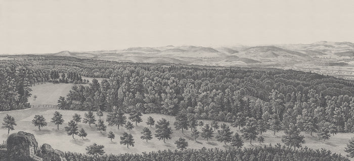 Swiss Landscape - Estival Pewter