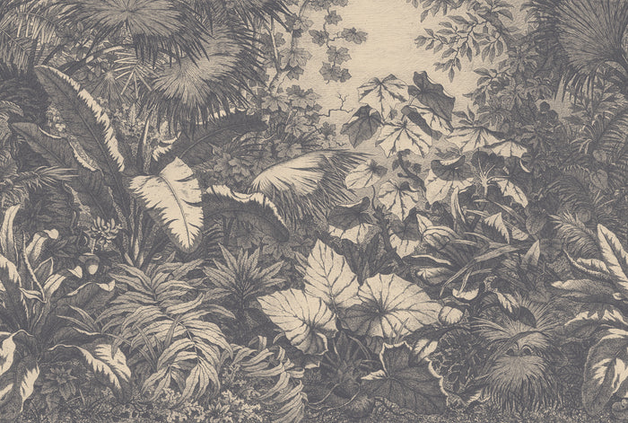 Wild Jungle - Shade