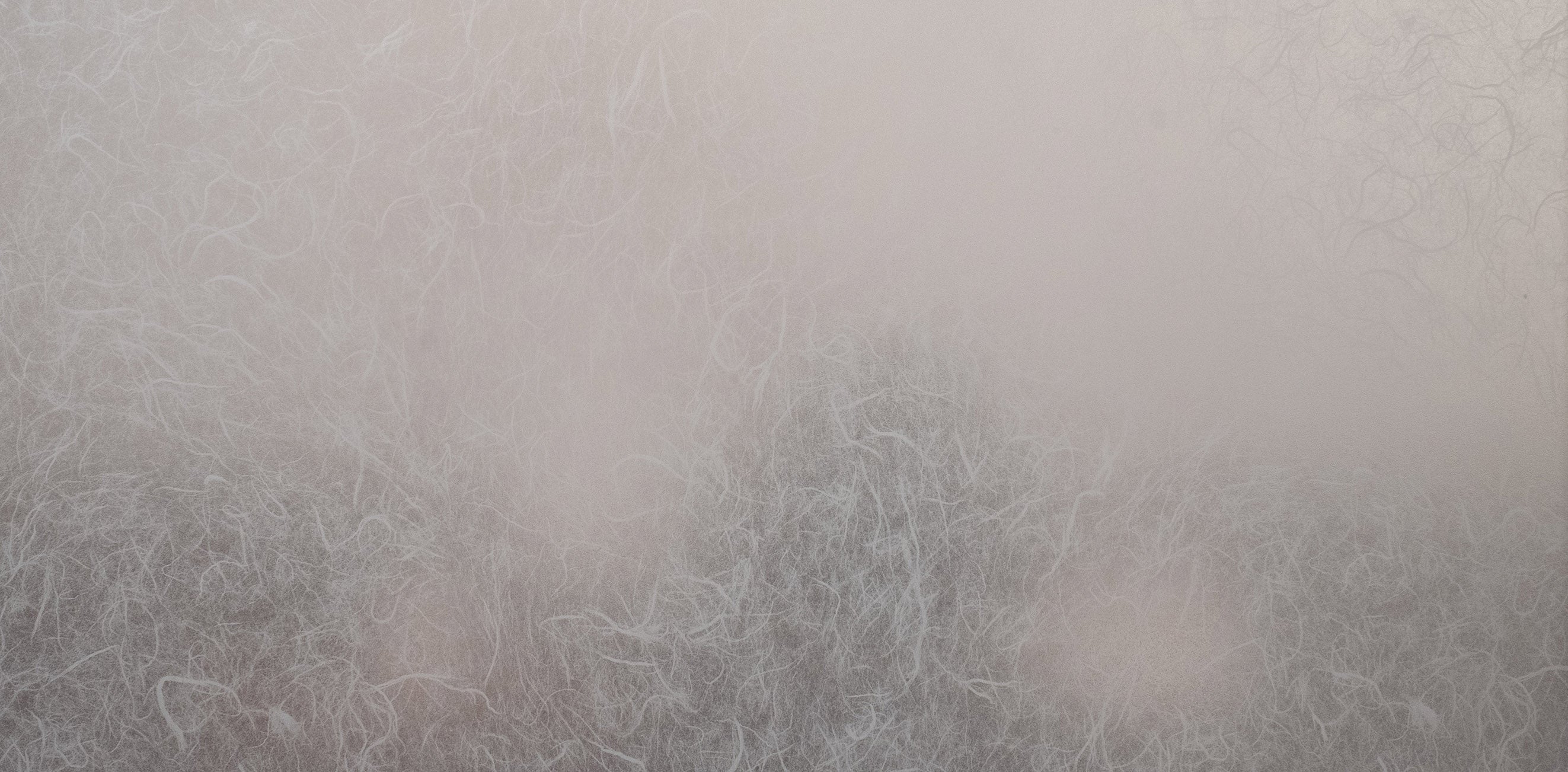 An image of a still life setting, obscured by the Rice Paper window film in order to exhibit the privacy level of the selected film.