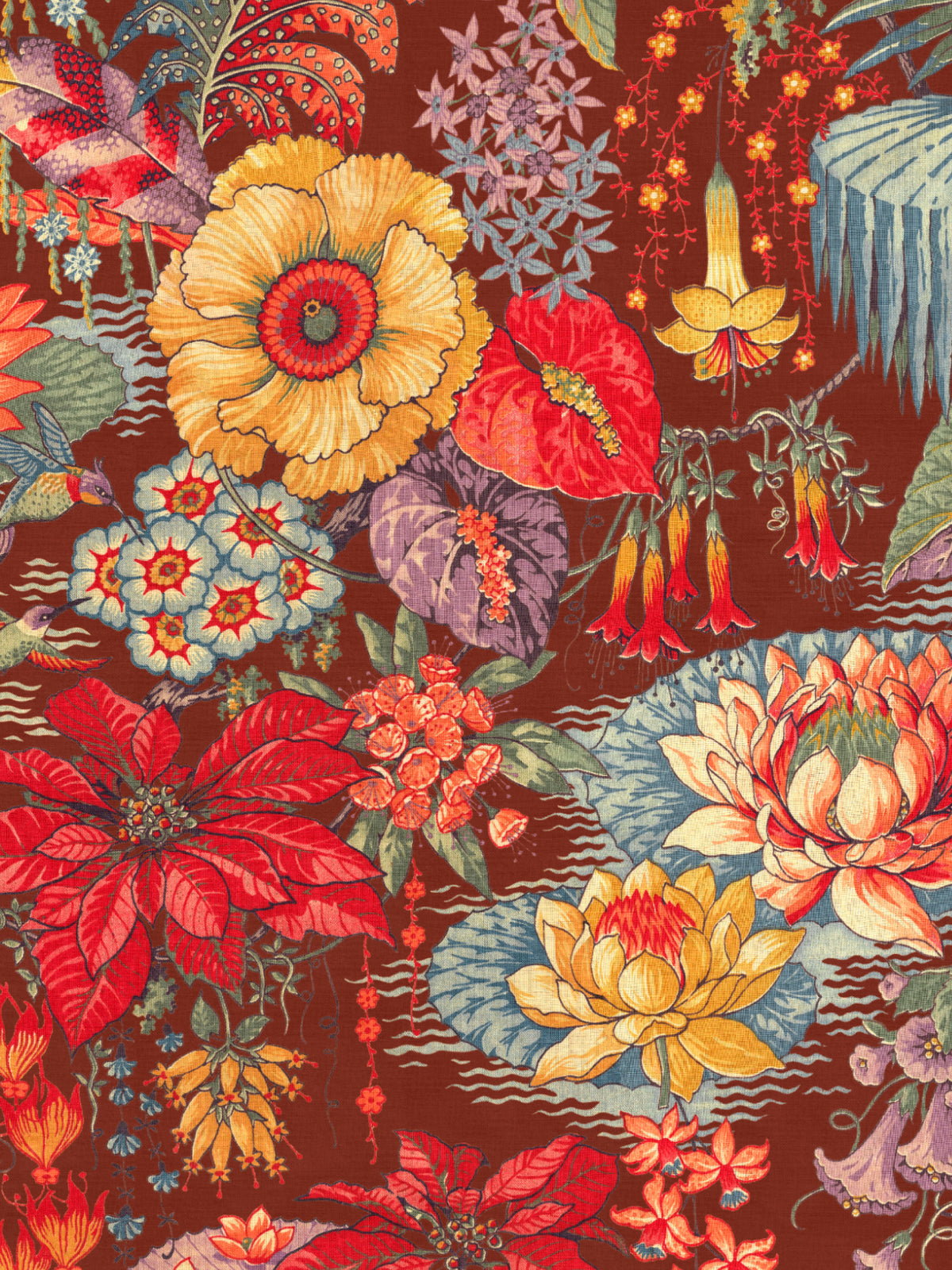 Royal Belum - Oxblood