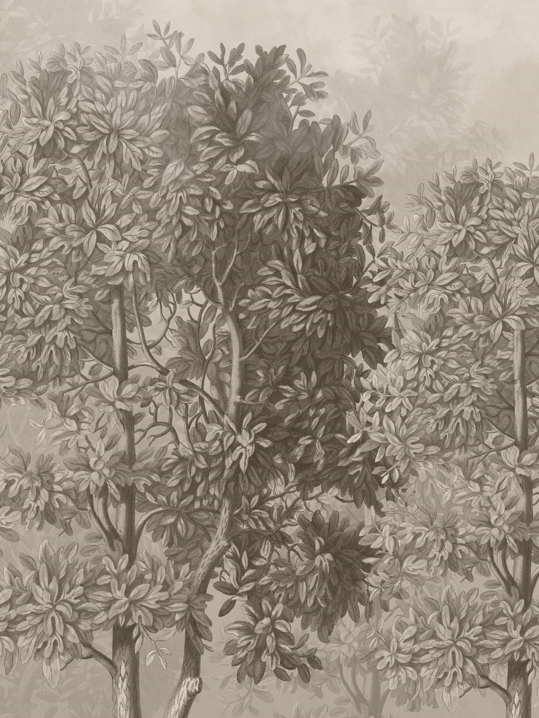 Sherwood - Almond
