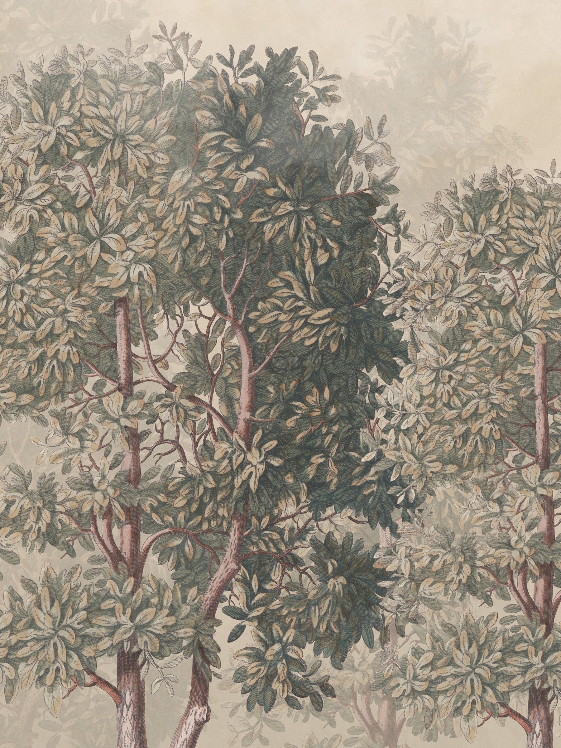 Sherwood - Hazel