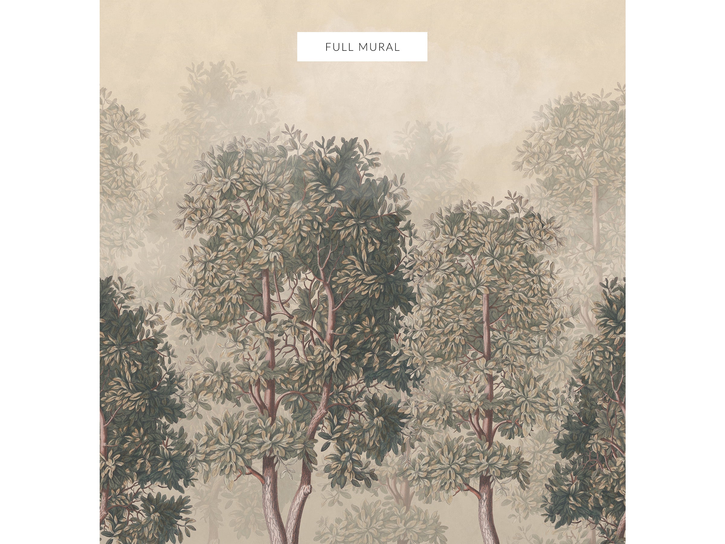 Sherwood - Hazel