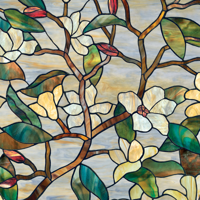 Spring Magnolia