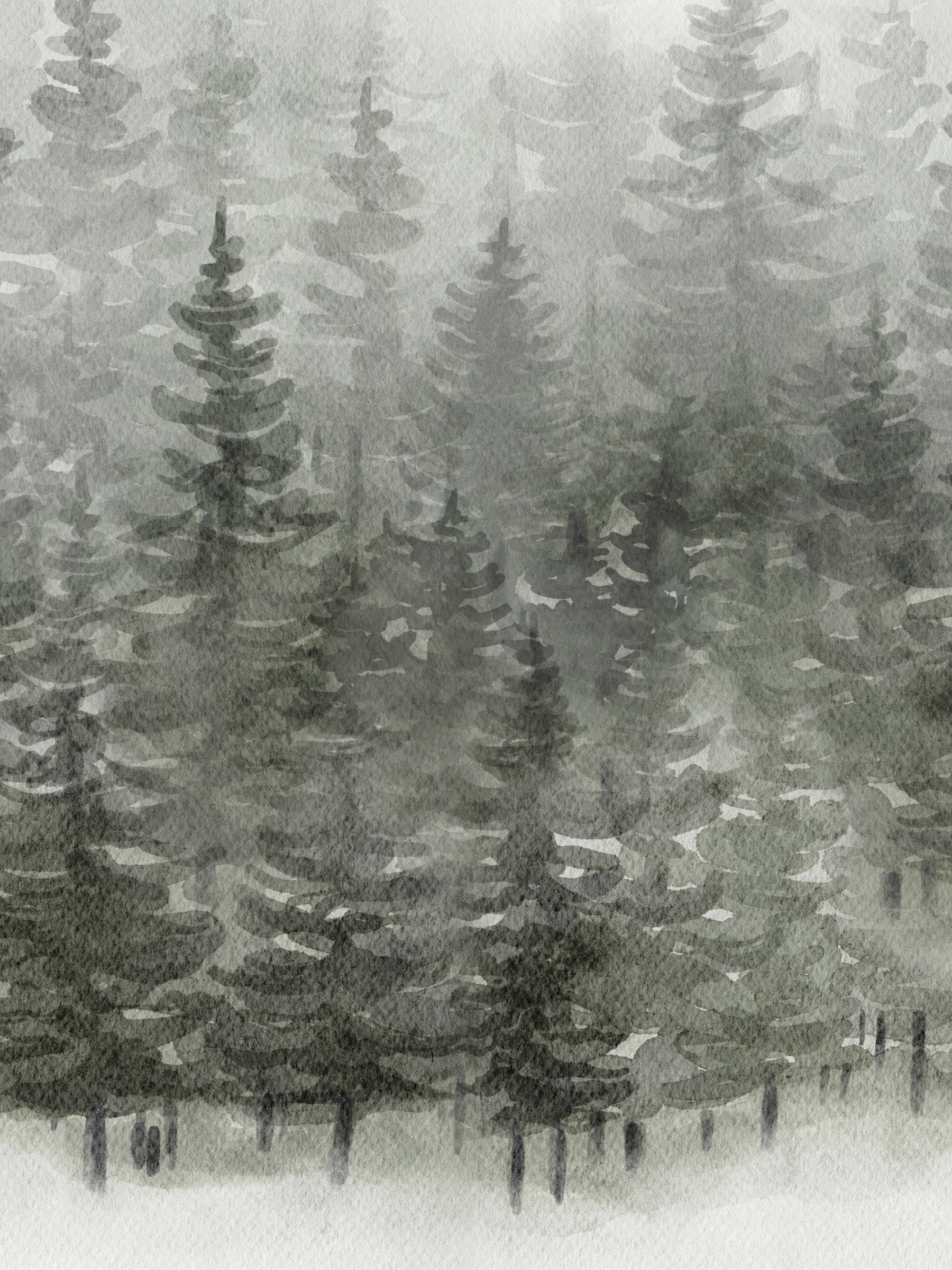 Spruce Forest  - Pine Solstice