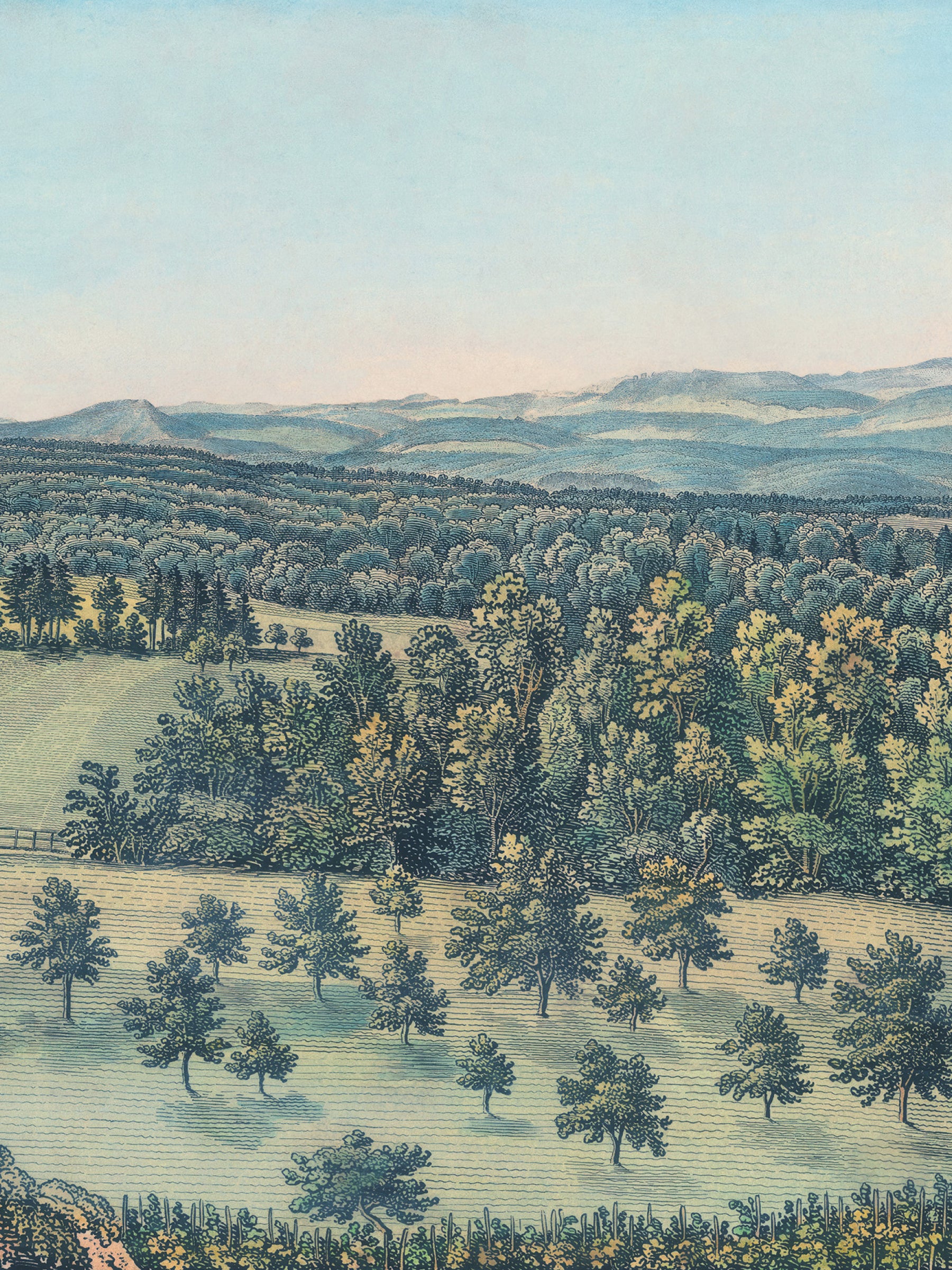 Swiss Landscape - Estival Green