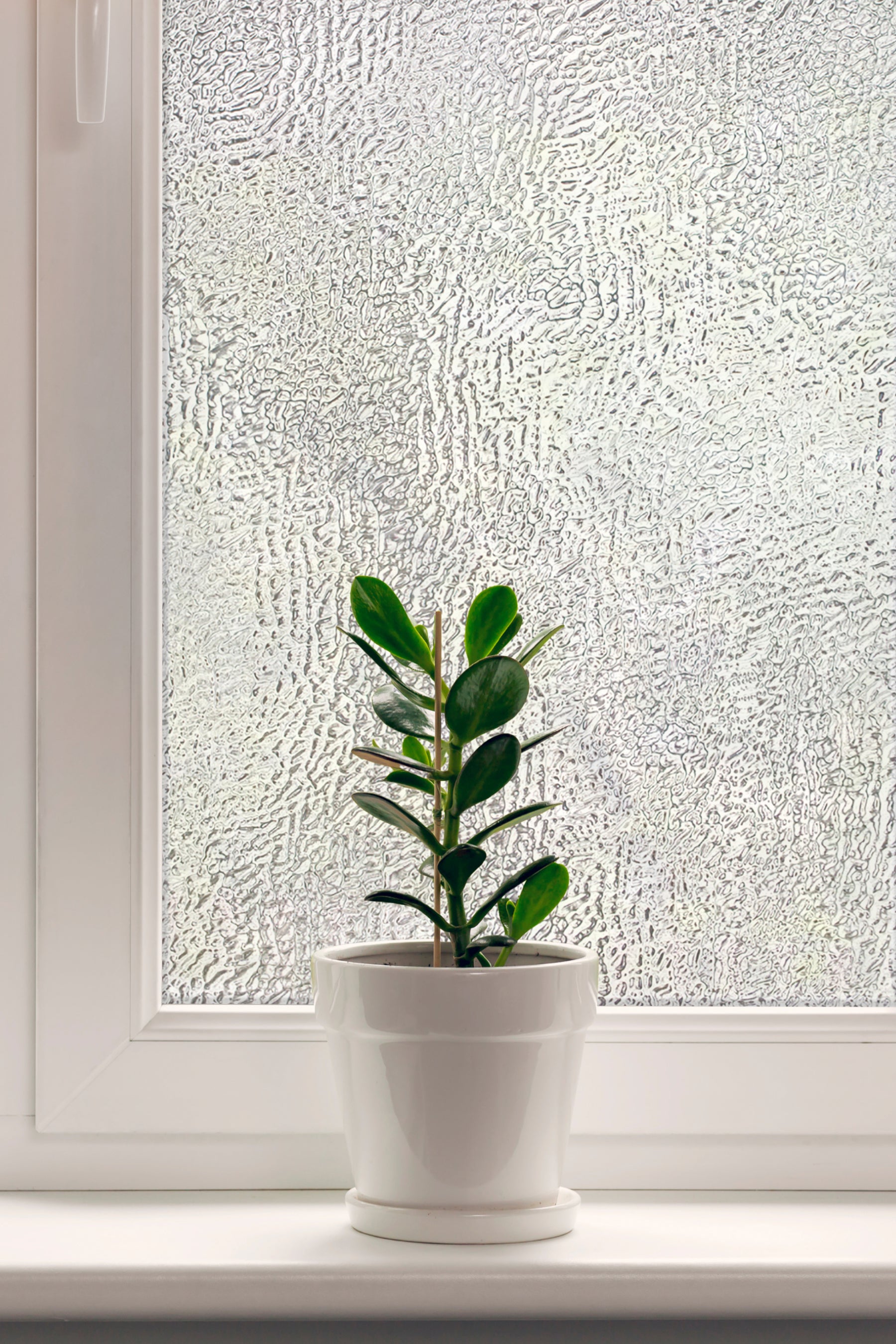 Texture Twelve Large