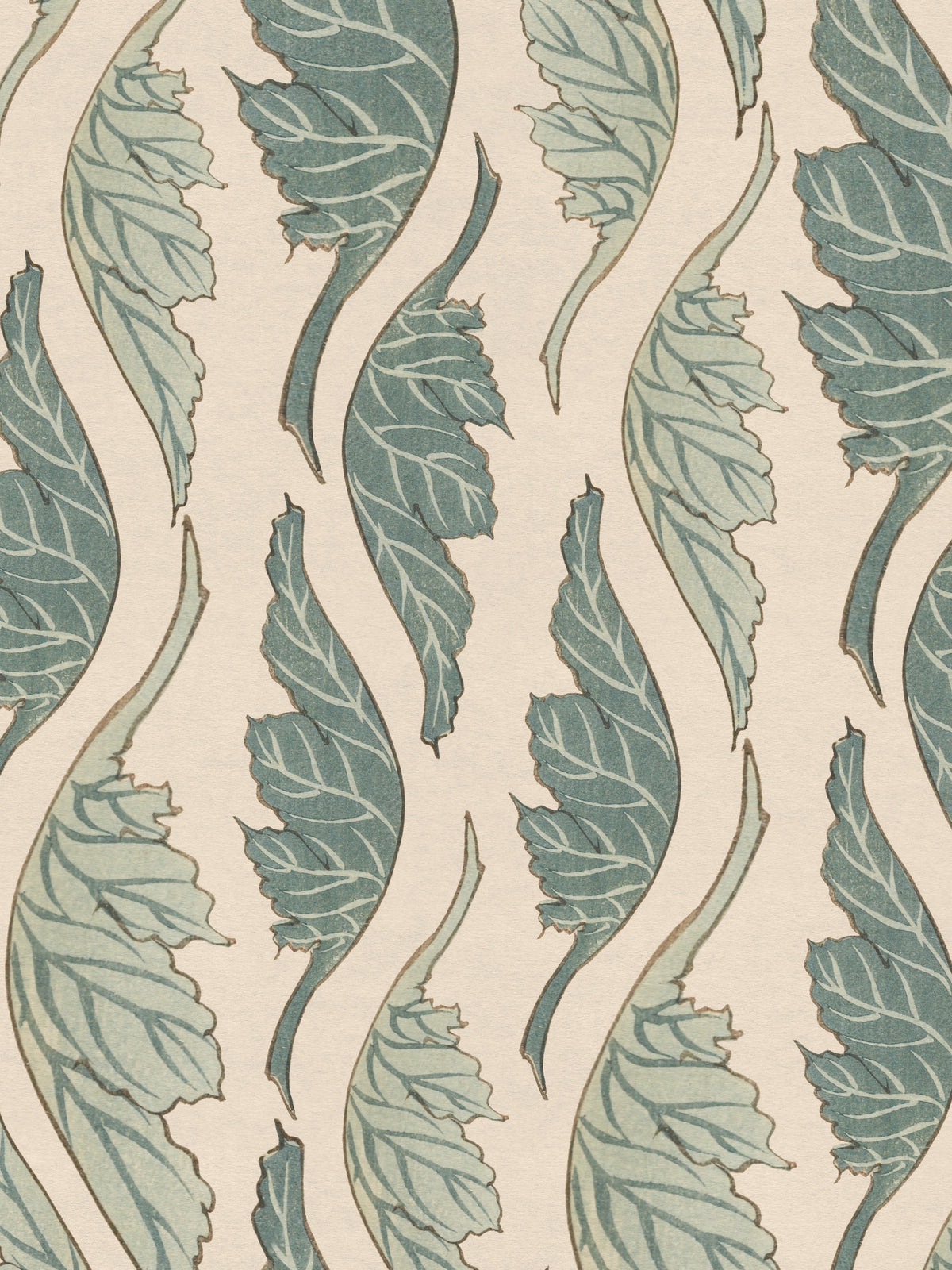 Waterleaf - Celadon