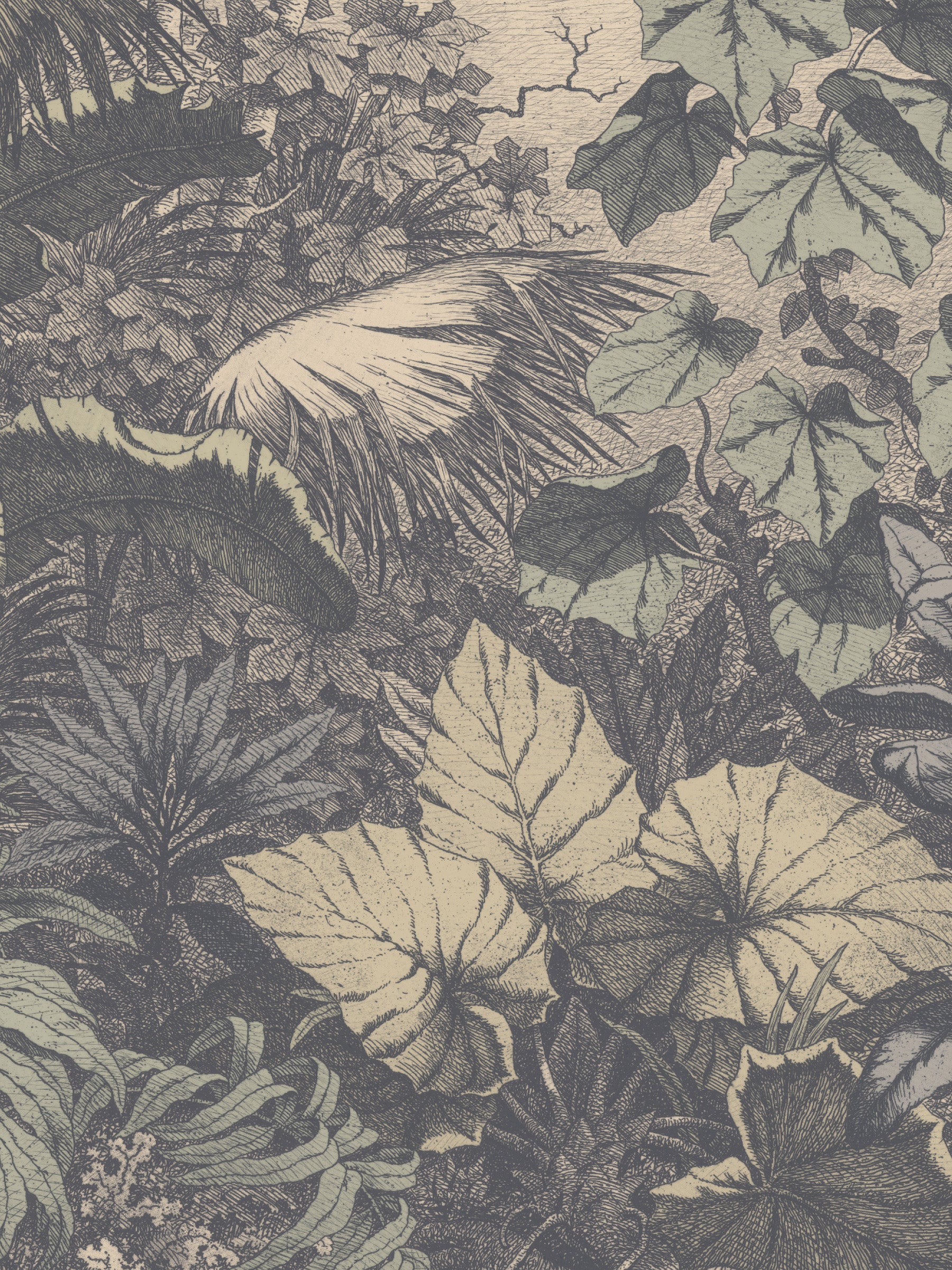 Wild Jungle - Rover