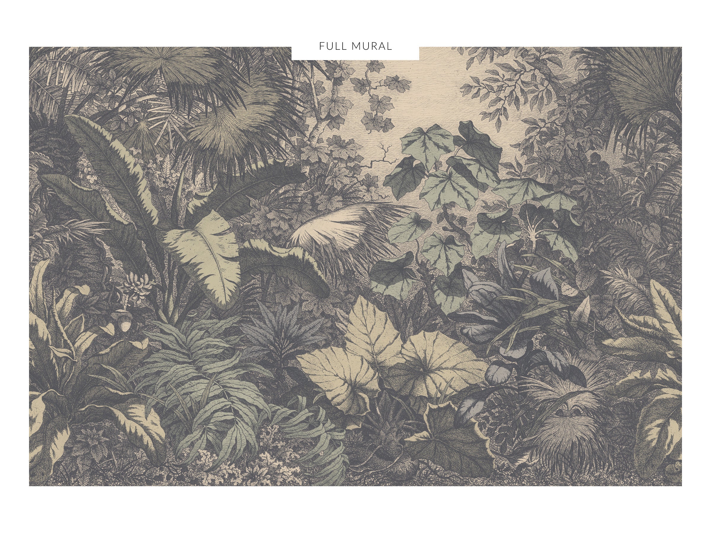 Wild Jungle - Rover
