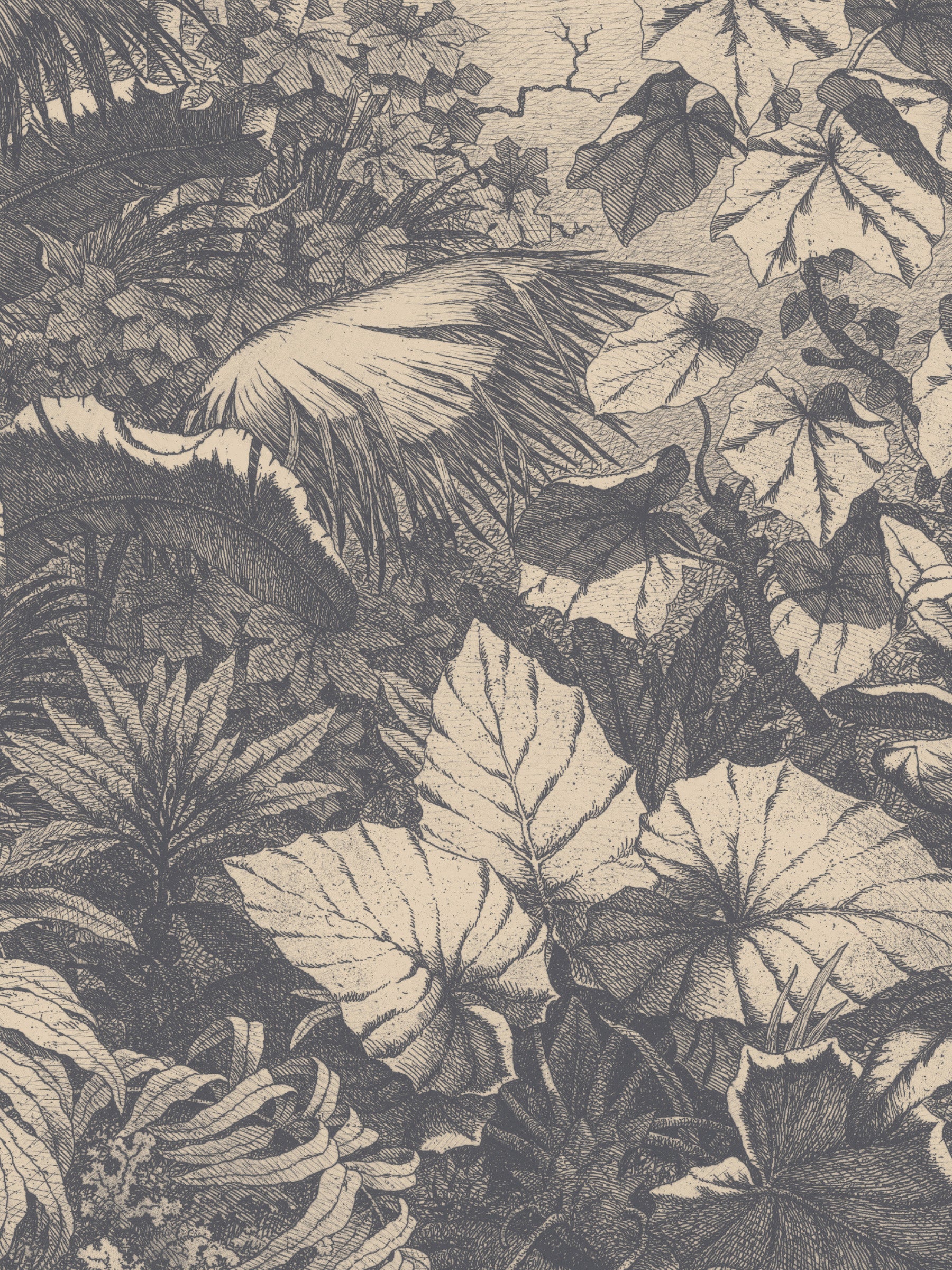 Wild Jungle - Shade