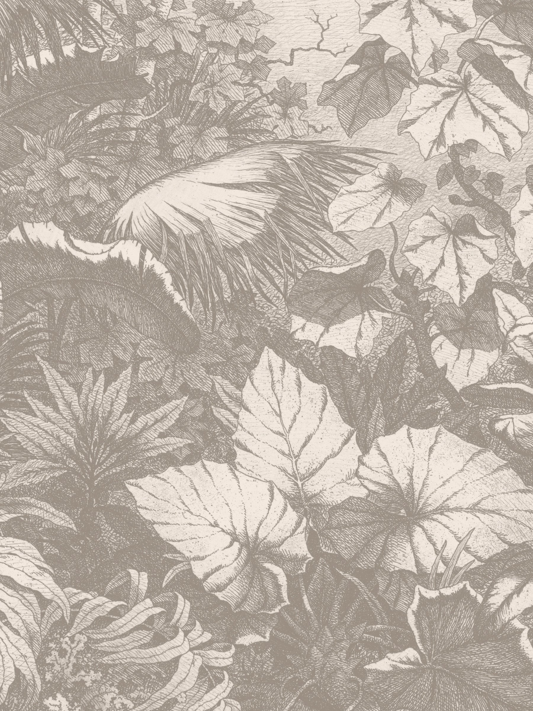 Wild Jungle - Whisper