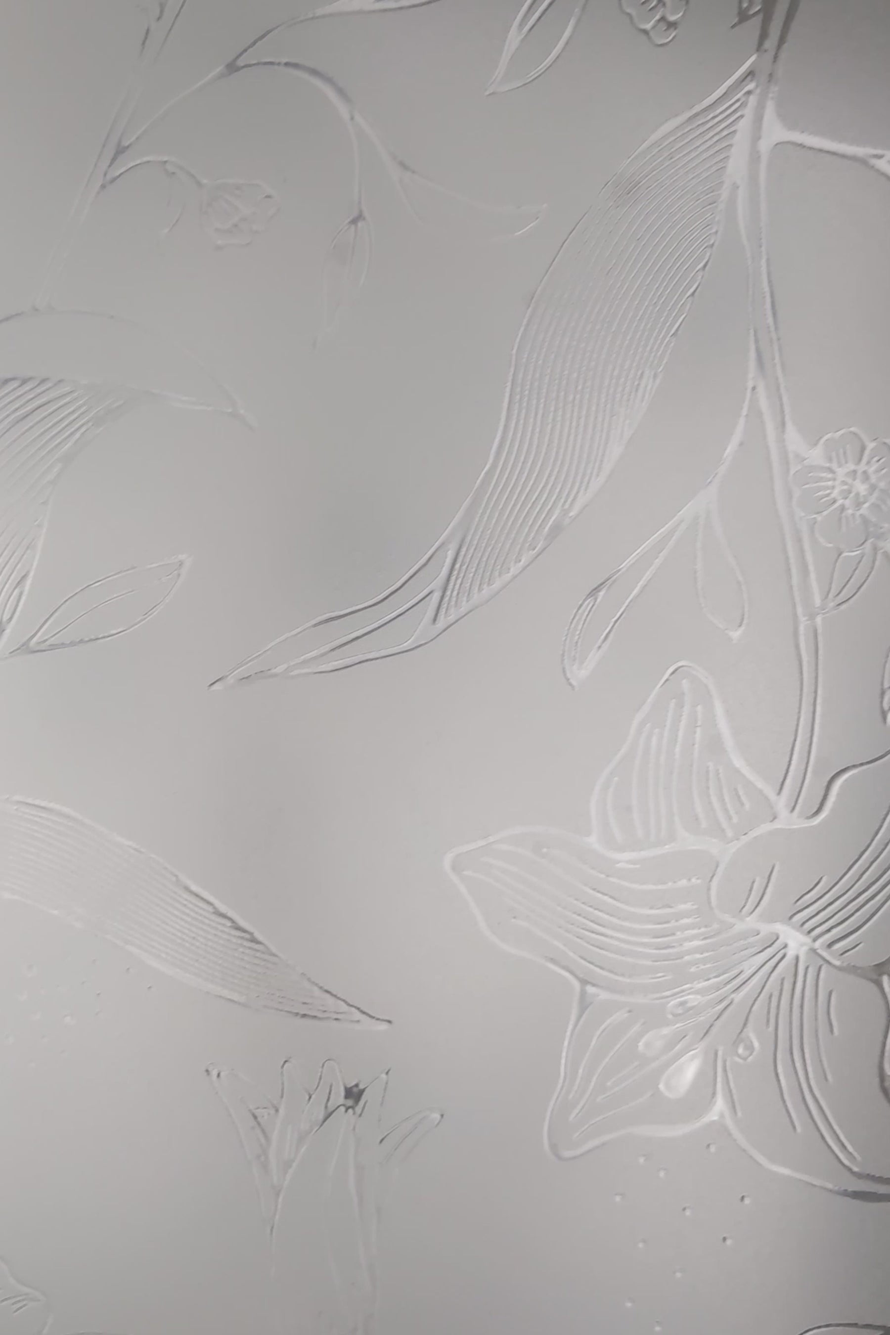 Load video: Lily
