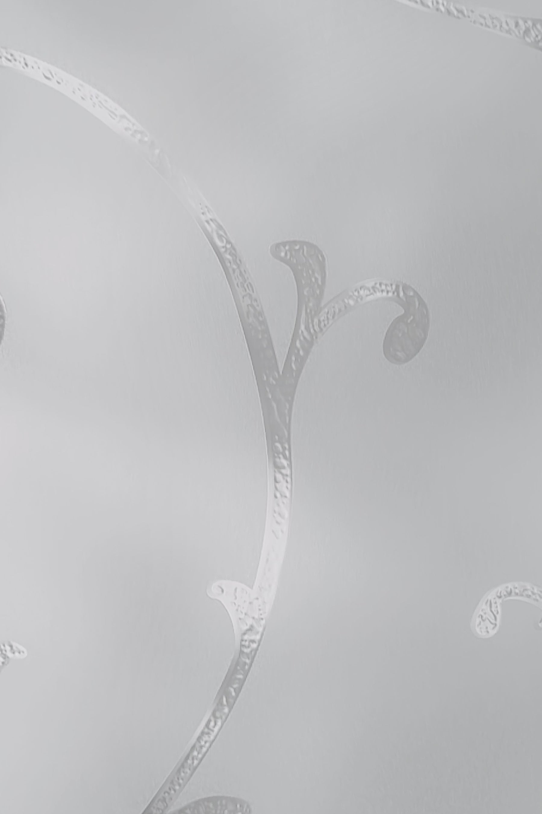 Load video: Etched Lace